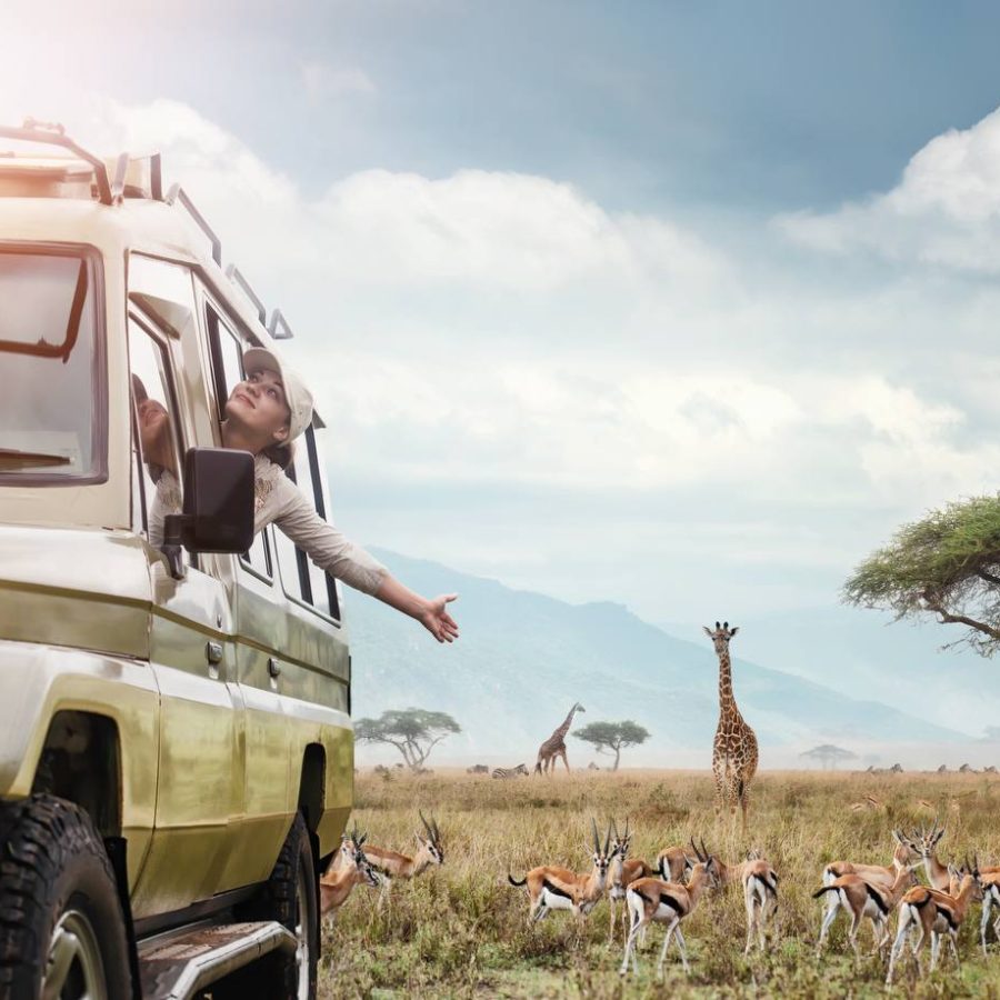 Safari EXPERIENCE (Tsavo Est)